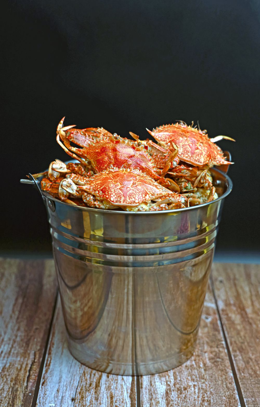 A bucket of steamed blue crabs, ready for a crab feast